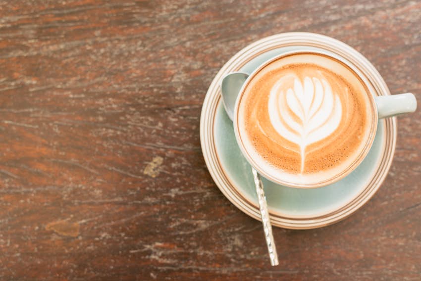 Latte Art für Einsteiger: Cappucino in Perfektion