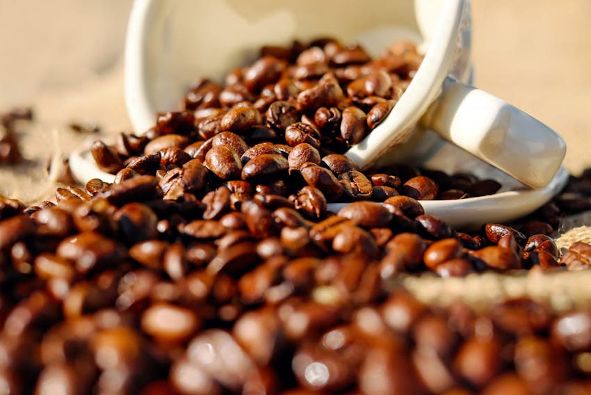 Mein Kaffee schmeckt bitter: 6 Tipps für leckeren Kaffee und Espresso