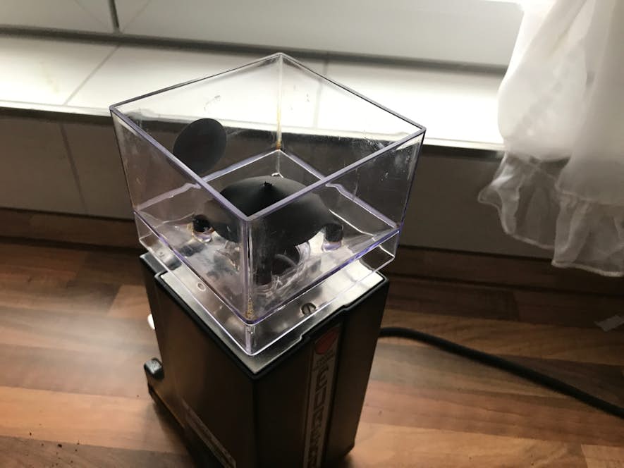 Bohnenbehälter ist gesäubert und wird wieder auf die Mühle aufgesetzt.